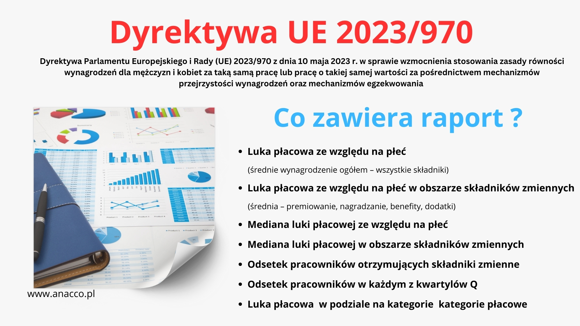 Raport luki płacowej – co zawiera