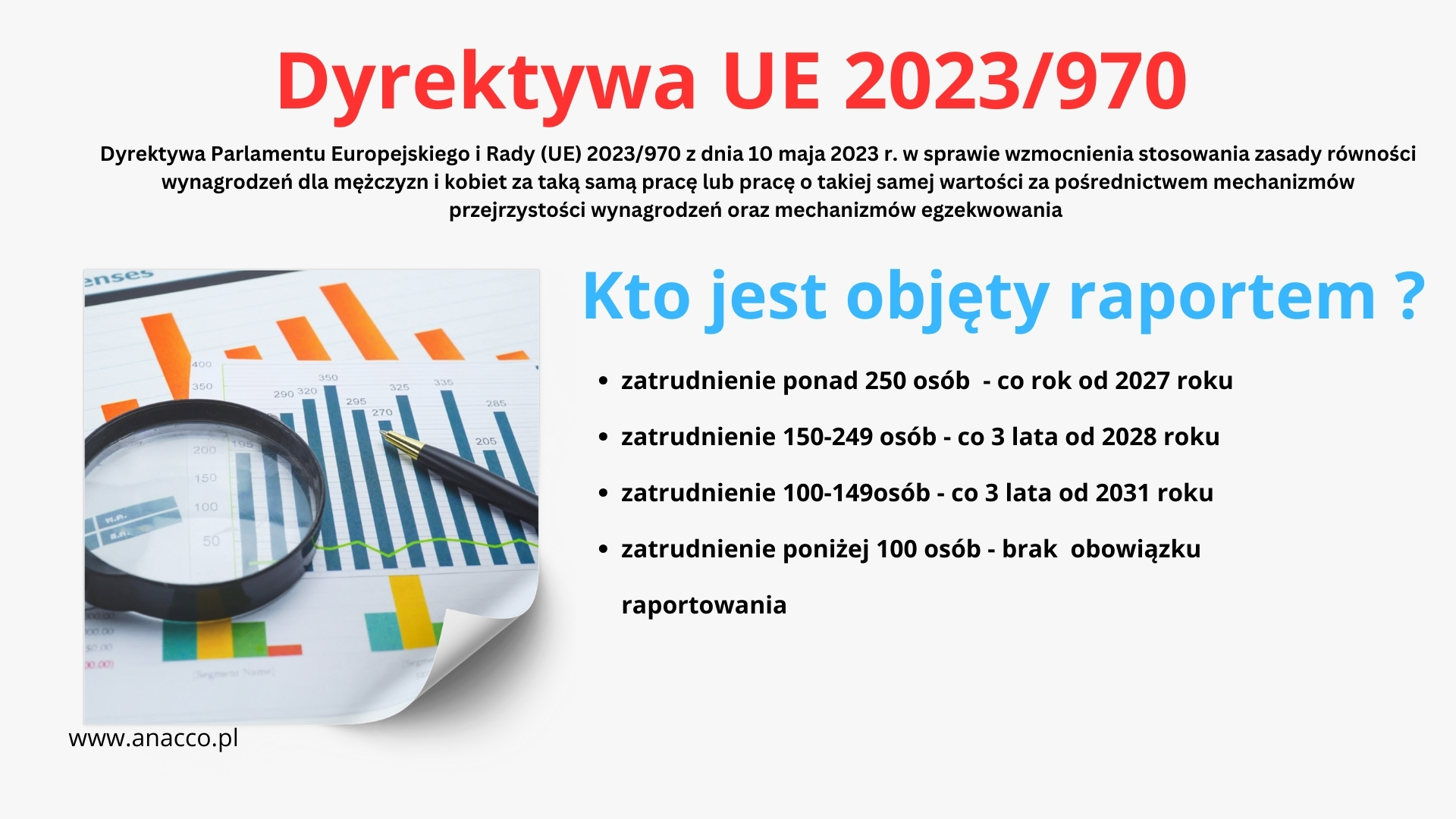 Raport luki płacowej – kogo dotyczy
