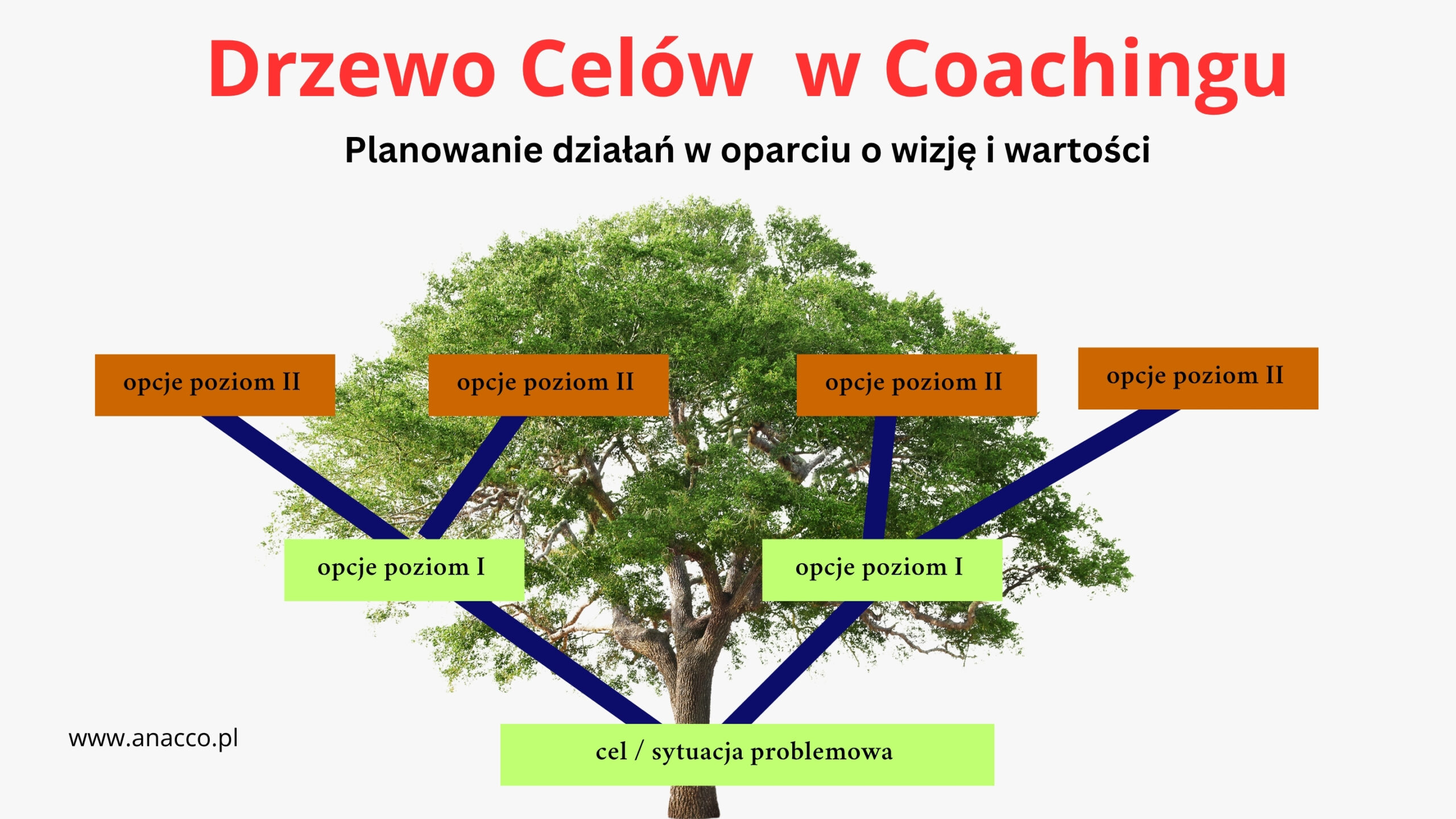 Drzewo celów w Coachingu