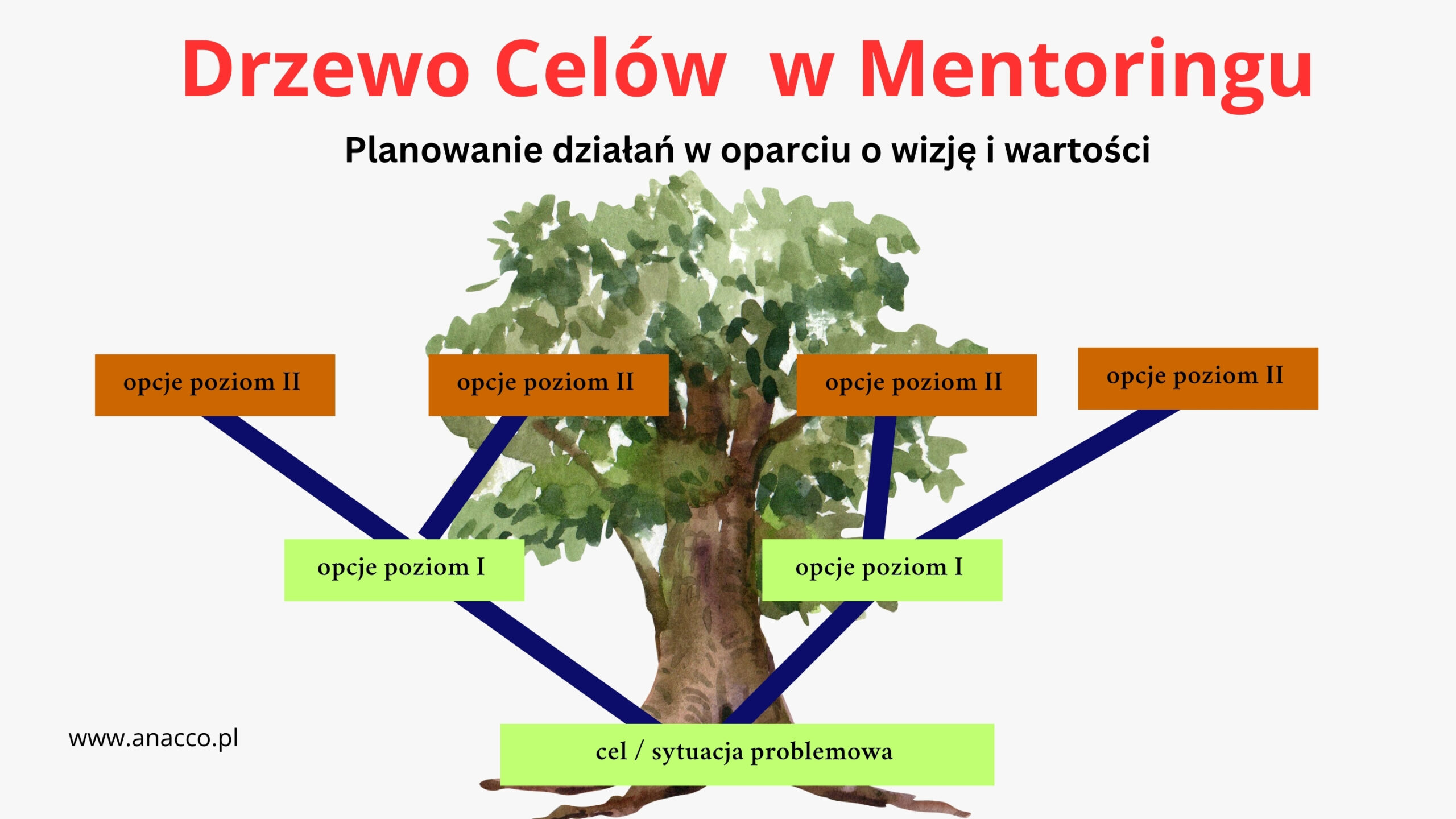 Koło życia, zaadaptowane na potrzeby mentoringu menedżerskiego, staje się potężnym narzędziem wspierającym holistyczny rozwój lidera. Pozwala ono menedżerowi wizualnie ocenić i zdefiniować swoje priorytety w kluczowych obszarach życia i pracy. Analiza obszarów takich jak kariera i rozwój zawodowy, finanse, zdrowie i energia, czy relacje osobiste (w tym te służbowe) daje pełniejszy obraz. Koło Życia w Mentoringu Menedżerów Mentoring w oparciu o Koło Życia pomaga menedżerowi zidentyfikować dysproporcje i obszary wymagające uwagi, co bezpośrednio przekłada się na jego efektywność pracy. Przykładowo, zaniedbanie równowagi między życiem zawodowym a prywatnym może prowadzić do wypalenia i spadku produktywności. Mentor, bazując na samoocenie menedżera w tych kategoriach, może pomóc w opracowaniu planu działania mającego na celu poprawę w deficytowych obszarach. Skupienie się na rozwoju osobistym poza stricte zawodowymi kompetencjami, takimi jak zarządzanie czasem czy komunikacja, jest niezwykle ważne dla długoterminowego sukcesu. Menedżer uczy się, jak osiągnąć spójność między swoimi wartościami a codziennymi działaniami, co wzmacnia jego autentyczność w roli lidera. W efekcie, zastosowanie Koła Życia w procesie mentoringu prowadzi do zwiększenia satysfakcji z pracy i ogólnego dobrostanu, co czyni menedżera bardziej skutecznym i odpornym na wyzwania.