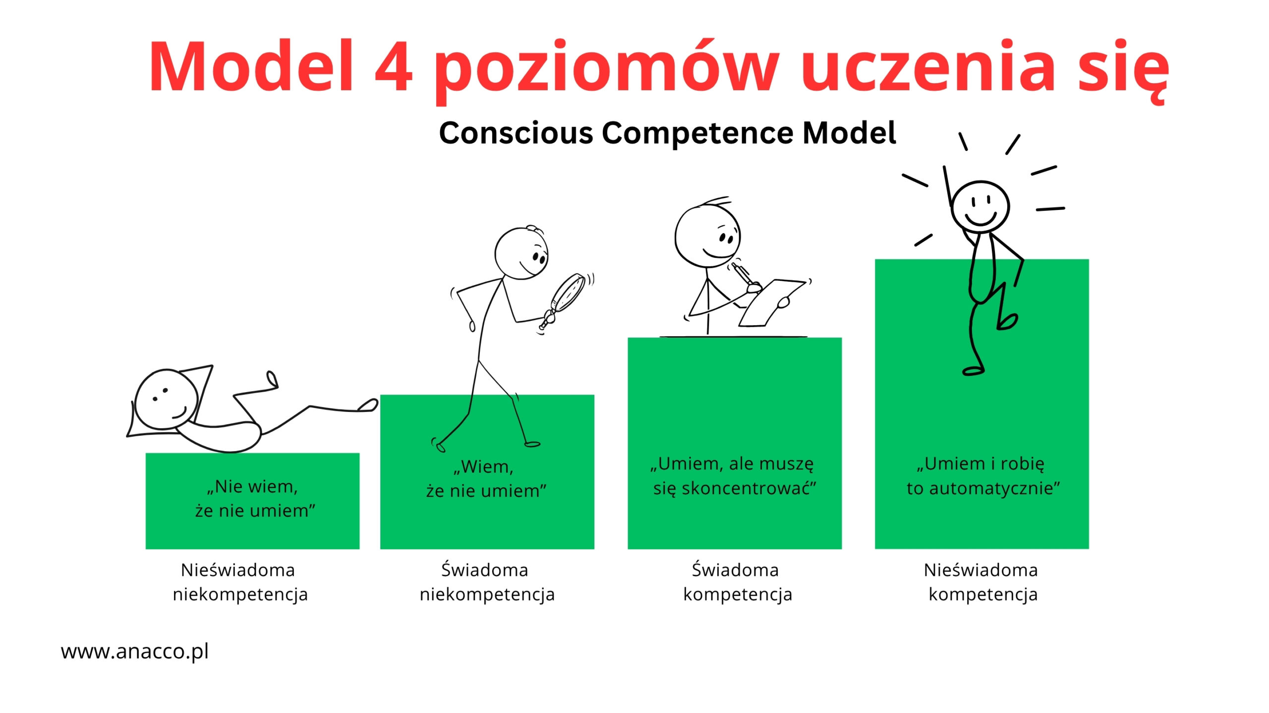 Model 4 poziomów uczenia się – Mentoring
