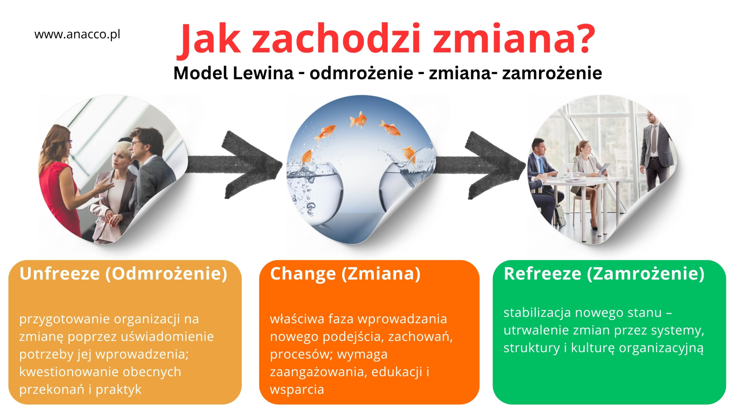 Model Lewina – zmiana – mentoring